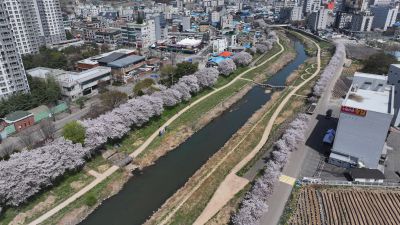 발안천 벚꽃길 및 발안시가지,향남역 일원 항공사진 DJI_20260412193235_0090_D_resize.JPG