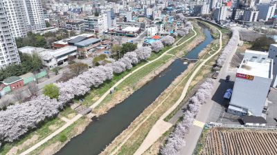 발안천 벚꽃길 및 발안시가지,향남역 일원 항공사진 DJI_20260412193235_0091_D_resize.JPG