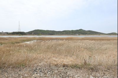 김민석 국무총리 시화지구 현장방문 C1KS7264_resize.JPG