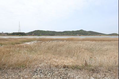 김민석 국무총리 시화지구 현장방문 C1KS7265_resize.JPG