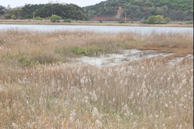 김민석 국무총리 시화지구 현장방문 C1KS7266_resize.JPG