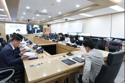 제3차 도-시군 부단체장 영상회의 C1KS9710_resize.JPG