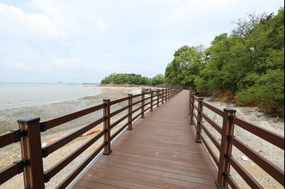 황금해안길 조성사업 안전점검 C1KS0740_resize.JPG