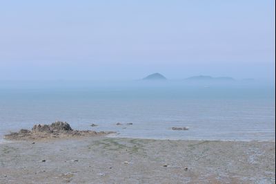 궁평항 황금해안길 조성 현장 스케치 0D0A1656_resize.jpg