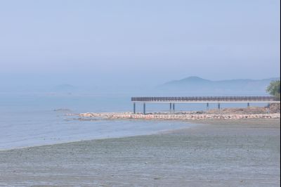 궁평항 황금해안길 조성 현장 스케치 0D0A1659_resize.jpg