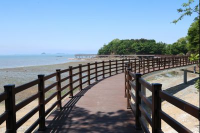 궁평항 황금해안길 조성 현장 스케치 0D0A1787_resize.jpg