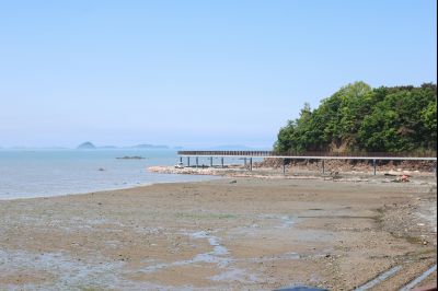궁평항 황금해안길 조성 현장 스케치 0D0A1820_resize.jpg