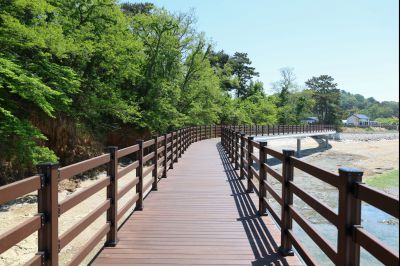 궁평항 황금해안길 조성 현장 스케치 0D0A1854_resize.jpg