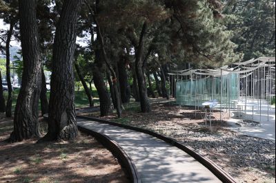 서신면 궁평리 해송군락지 산책로 C1KS2276_resize.JPG