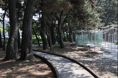 서신면 궁평리 해송군락지 산책로 C1KS2278_resize.JPG