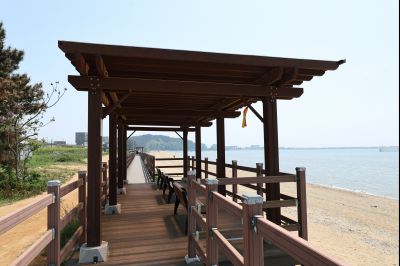 서신면 궁평리 해송군락지 산책로 C1KS2279_resize.JPG