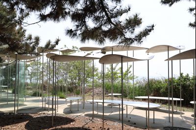 서신면 궁평리 해송군락지 산책로 C1KS2292_resize.JPG