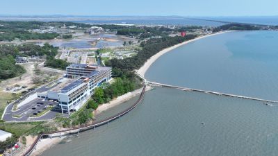 서신면 궁평리 및 백미리 황금해안길 항공촬영 DJI_20260514214656_0189_D_resize.JPG