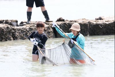 제16회 화성 뱃놀이 축제 1일차 현장 스케치 0D0A6727_resize.jpg