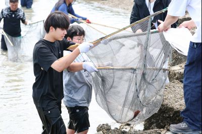 제16회 화성 뱃놀이 축제 1일차 현장 스케치 0D0A6750_resize.jpg