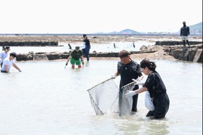 제16회 화성 뱃놀이 축제 1일차 현장 스케치 0D0A6765_resize.jpg