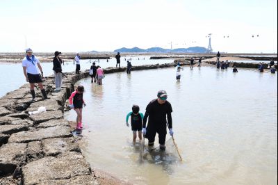 제16회 화성 뱃놀이 축제 1일차 현장 스케치 0D0A6799_resize.jpg