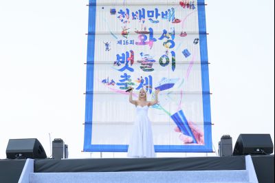 제16회 화성 뱃놀이 축제 2일차 개막식 0D0A3557_resize.jpg