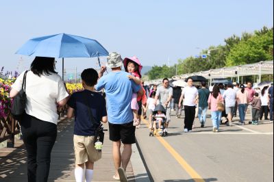 제16회 화성 뱃놀이 축제 3일차 현장 스케치 0D0A5116_resize.jpg