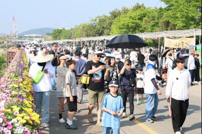 제16회 화성 뱃놀이 축제 3일차 현장 스케치 0D0A5219_resize.jpg
