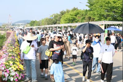 제16회 화성 뱃놀이 축제 3일차 현장 스케치 0D0A5221_resize.jpg