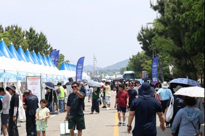 제16회 화성 뱃놀이 축제 4일차 현장 스케치 C1KS3367_resize.JPG