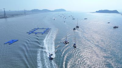 제16회 화성 뱃놀이 축제 3일차 항공사진촬영 DJI_20260523231331_0444_D_resize.JPG