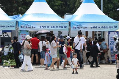제16회 화성 뱃놀이 축제 4일차 현장 스케치 C1KS3373_resize.JPG