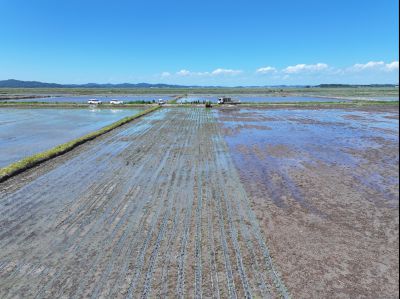 화옹지구 에코팜랜드 상공 항공촬영 DJI_20260604204616_0012_D_resize.JPG