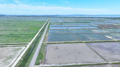 화옹지구 에코팜랜드 상공 항공촬영 DJI_20260604204919_0022_D_resize.JPG