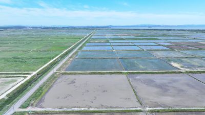 화옹지구 에코팜랜드 상공 항공촬영 DJI_20260604204932_0025_D_resize.JPG