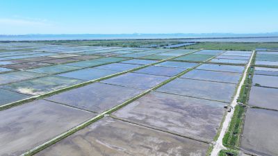 화옹지구 에코팜랜드 상공 항공촬영 DJI_20260604204937_0028_D_resize.JPG