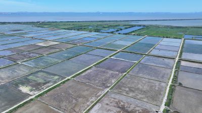 화옹지구 에코팜랜드 상공 항공촬영 DJI_20260604204958_0029_D_resize.JPG