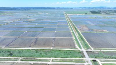화옹지구 에코팜랜드 상공 항공촬영 DJI_20260604205003_0034_D_resize.JPG