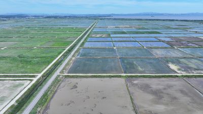 화옹지구 에코팜랜드 상공 항공촬영 DJI_20260604205028_0038_D_resize.JPG