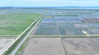 화옹지구 에코팜랜드 상공 항공촬영 DJI_20260604205028_0040_D_resize.JPG