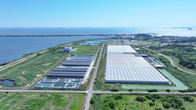 화옹지구 에코팜랜드 상공 항공촬영 DJI_20260604221909_0084_D_resize.JPG